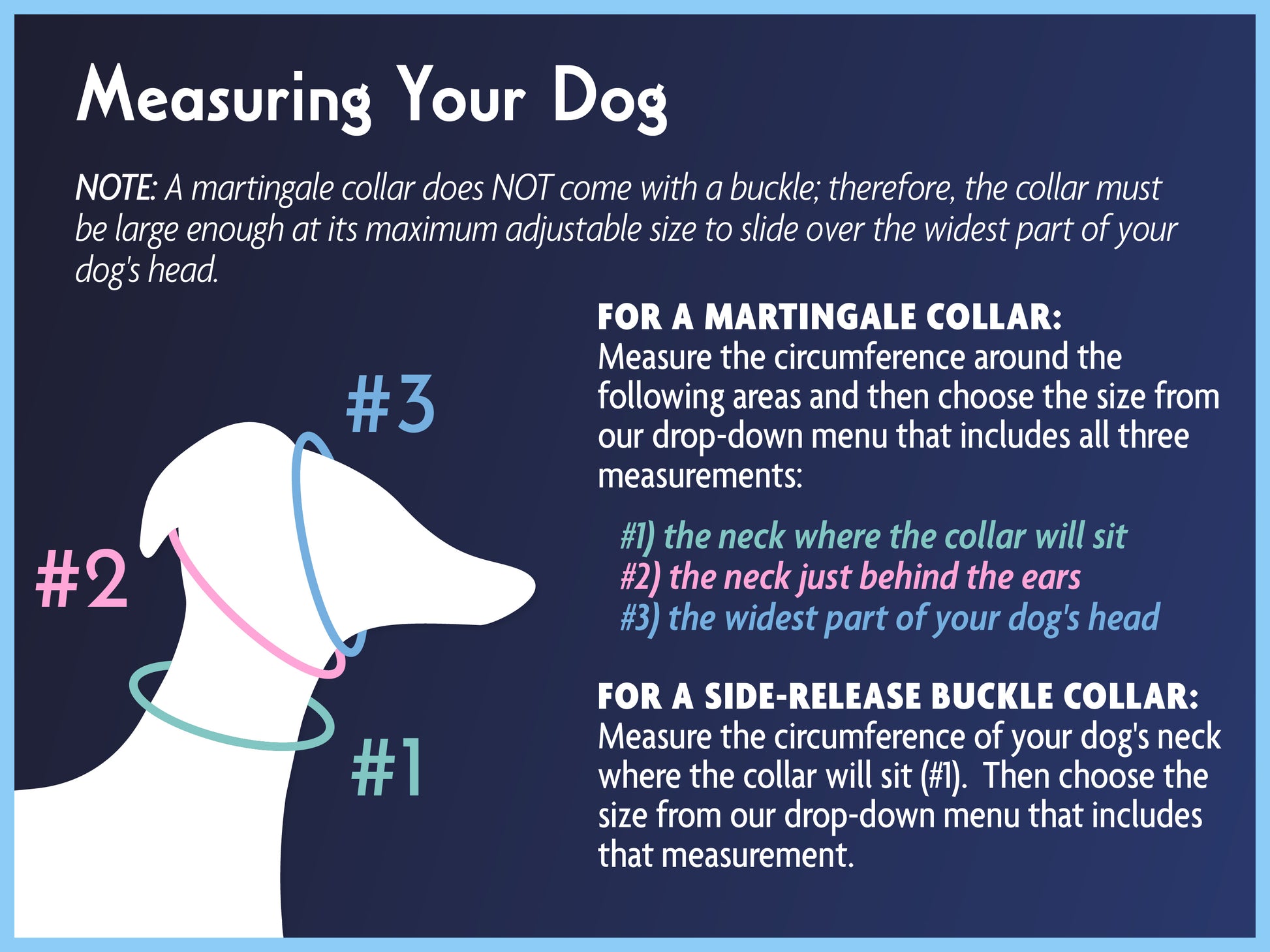 Info about measuring your dog for a martingale collar or a buckle dog collar
