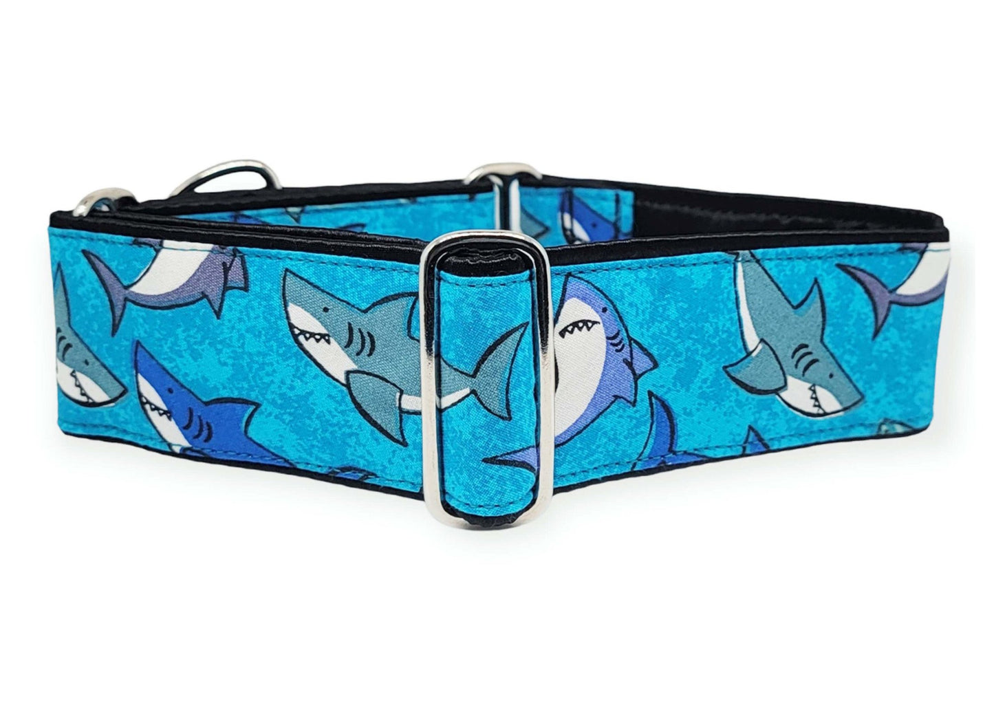 2 Inch Wide Sharks! Dog Collar by The Hound Haberdashery