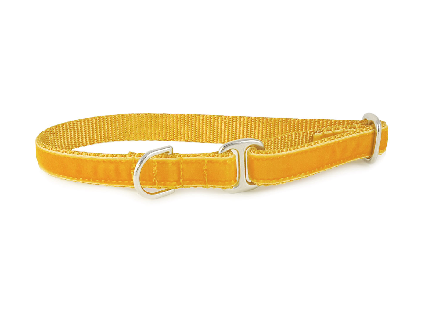 Goldenrod Velvet Dog Tag Collar by The Hound Haberdashery