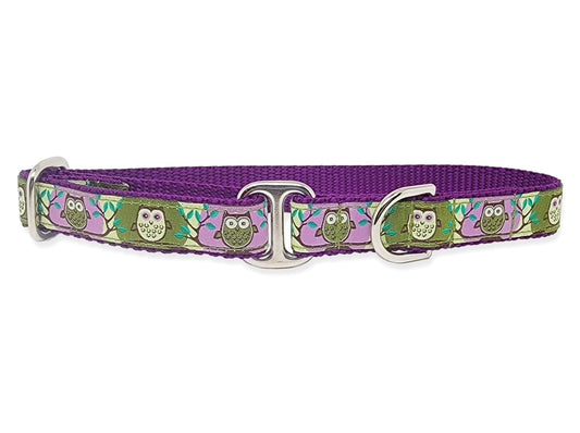 3/4 Inch Purple, Green Owls Dog Tag Collar by The Hound Haberdashery