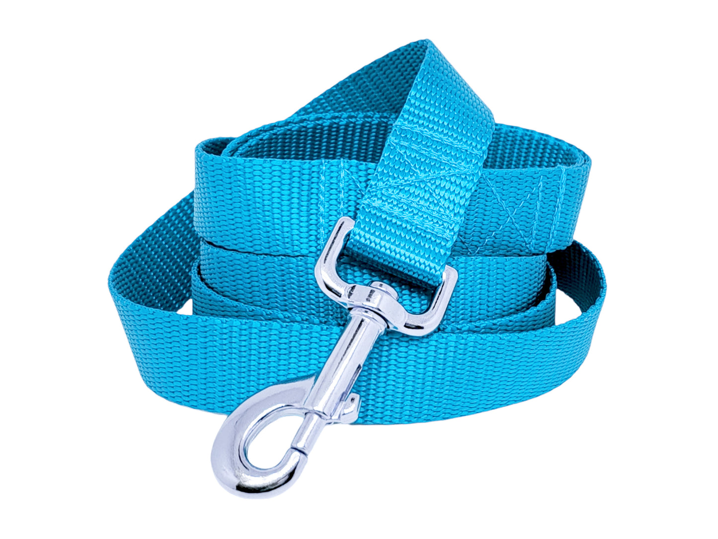 Turquoise Nylon Dog Leash by The Hound Haberdashery