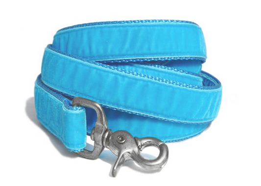 Turquoise Velvet Dog Leash