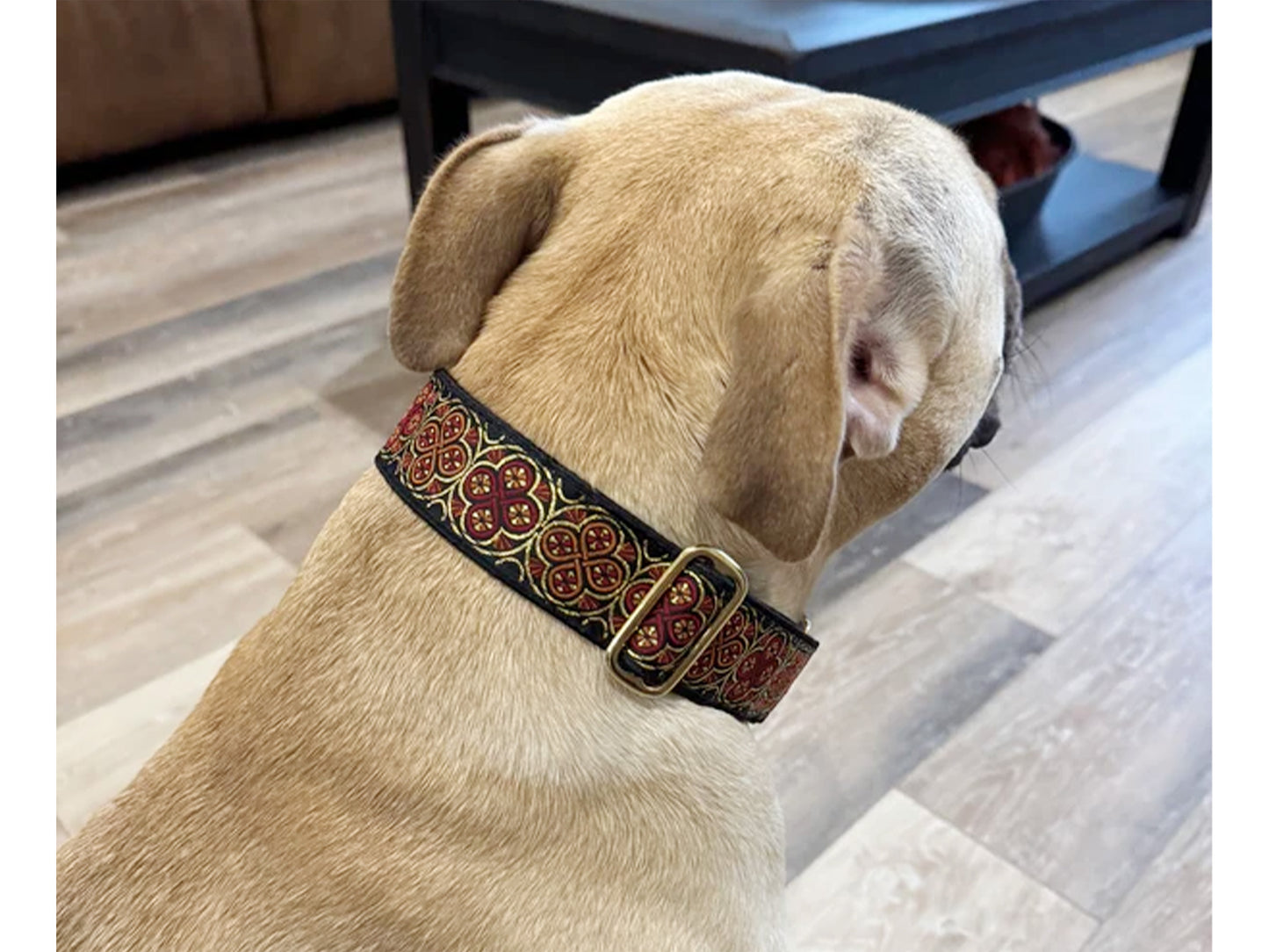 Dog Wearing the 1.5 Inch Wide Red, Gold Blarney Dog Collar by The Hound Haberdashery